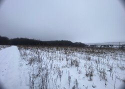 Продаж земельної ділянки сільськогосподарського призначення, на вул. Лесі Українки фото 3 Продаж земельної ділянки сільськогосподарського призначення, на вул. Лесі Українки фото 3