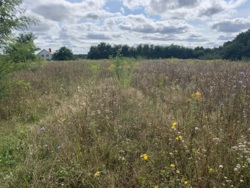 ������ ������ 20 ��� � ��������� ���� 4