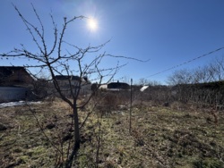 🌿 ������ �������� ������ �� ���������� � ����������� ������ ���� ���� 4