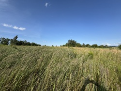 🌿 Продаж земельної ділянки зі зручним під'їздом! фото 6 🌿 Продаж земельної ділянки зі зручним під'їздом! фото 6