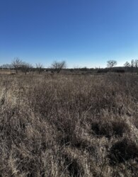 ������ �������� ������ �� ������� �������� ���� 11