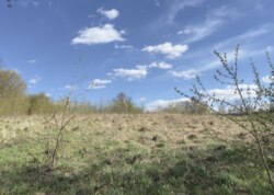 Продається земельна ділянка у Гавришівці фото 1 Продається земельна ділянка у Гавришівці фото 1