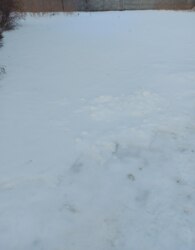 ������ �������� ������ �� ������� �������� ���� 4