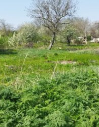 ������ �������� ������ �� ������� �������� ���� 3