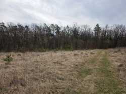 ������ ������ ��� ��� ���� 9