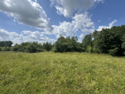 🌿 Продаж земельної ділянки 53 сотки | с. Лукашівка фото 11 🌿 Продаж земельної ділянки 53 сотки | с. Лукашівка фото 11