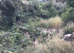 ������ �������� ������ �� ������� �������� ���� 10