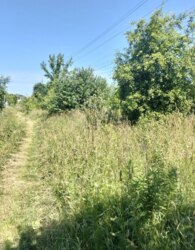 Продаж земельної ділянки під житлову забудову фото 6 Продаж земельної ділянки під житлову забудову фото 6