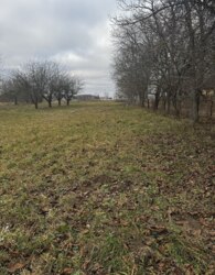 ������ �������� ������ �� ������� �������� ���� 4