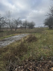 Земельна ділянка. фото 5 Земельна ділянка. фото 5