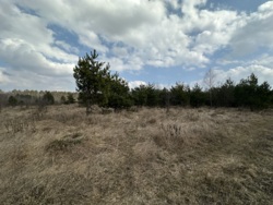 ������ ������ � �������� ���� 4