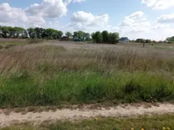 ������ ������ ���� 2