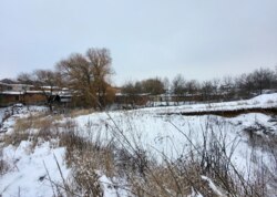 ������ �������� ������ � �������� ���� 7