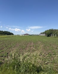 Продаж земельної ділянки в Бохониках. фото 2 Продаж земельної ділянки в Бохониках. фото 2