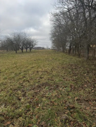 Земельна ділянка. фото 2 Земельна ділянка. фото 2