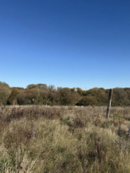 �������� ������ ��� ������ ���� 14