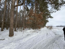 ������ ������ �� ������� �������� �.������� ���� 1