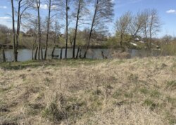 Продається земельна ділянка у Гавришівці фото 4 Продається земельна ділянка у Гавришівці фото 4