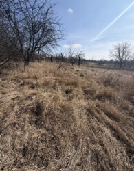 ������ �������� ������ �� ������� �������� ���� 1