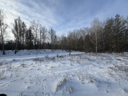 ������ �������� ������ � �. ������ � 20 ����� ��� ��� 🌲 ���� 2