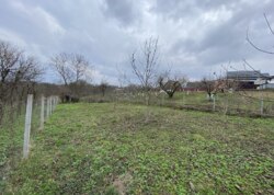 ������ �������� ������ �� ������� �������� �� ���. ������� ���� 1