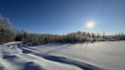 🌿 ������ �������� ������ 10 ����� ������� � �������� ���� ��� ����� �� ����������! ���� 14