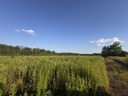 Продаж земельної ділянки Зарванці фото 3 Продаж земельної ділянки Зарванці фото 3