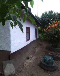 Продаж земельної ділянки під житлову забудову на вул. Миру, площа 25 соток фото 8 Продаж земельної ділянки під житлову забудову на вул. Миру, площа 25 соток фото 8