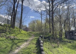 Продається земельна ділянка у Гавришівці фото 17 Продається земельна ділянка у Гавришівці фото 17