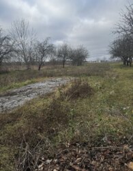 ������ �������� ������ �� ������� �������� ���� 5