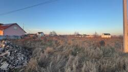 ������ �������� ������ � ������� ���� 11