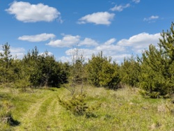 ĳ����� � ������� �������� ���� ���� 5