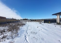 ������ �������� ������ �� ������� �������� ���� 5