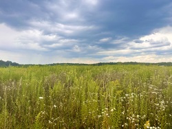 Продаж ділянки Якушинці фото 4 Продаж ділянки Якушинці фото 4