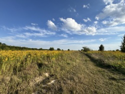 ĳ����� �������� ���� 3