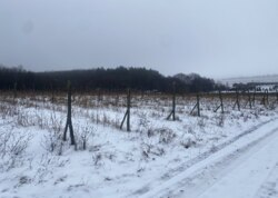 Продаж земельної ділянки сільськогосподарського призначення, на вул. Лесі Українки фото 6 Продаж земельної ділянки сільськогосподарського призначення, на вул. Лесі Українки фото 6