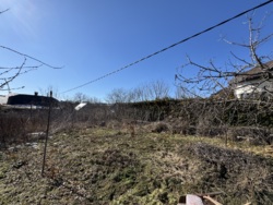 🌿 ������ �������� ������ �� ���������� � ����������� ������ ���� ���� 3