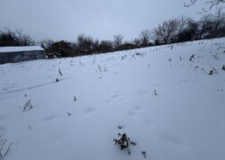 ������ �������� ������ �� ������� �������� �� ���. ������� ������������� ���� 3