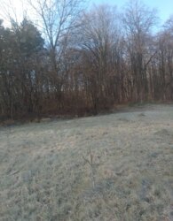 Продаж земельної ділянки сільськогосподарського призначення фото 2 Продаж земельної ділянки сільськогосподарського призначення фото 2