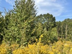 ĳ����� �������� ���� 4