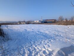 ������ ������ �� �������� � ������� ���� 1