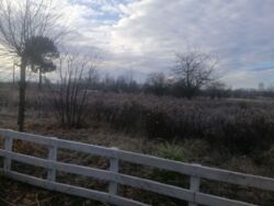 ������ �������� ������ ���� 3