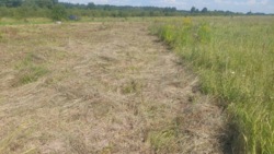 Продаж ділянки в Ксаверівці фото 4 Продаж ділянки в Ксаверівці фото 4