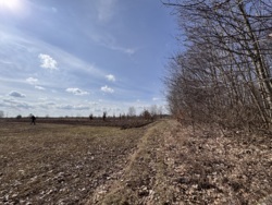 ĳ    5