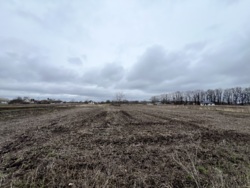 Продаж земельної ділянки вул. Сонячна фото 1 Продаж земельної ділянки вул. Сонячна фото 1