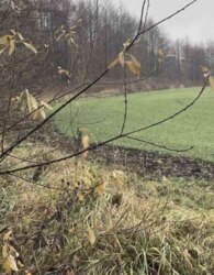 ������ �������� ������ ��������������������� ����������� ���� 4