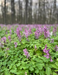 ������ �������� ������ �� ������� �������� ���� 2