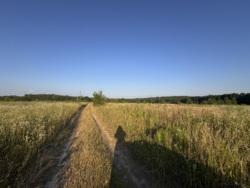 Ділянка Зарванці фото 3 Ділянка Зарванці фото 3