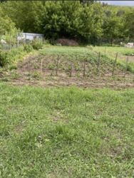 Терміновий продаж фото 10 Терміновий продаж фото 10