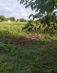 Продаж земельної ділянки під забудову фото 8 Продаж земельної ділянки під забудову фото 8